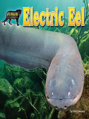 cover image of Electric Eel